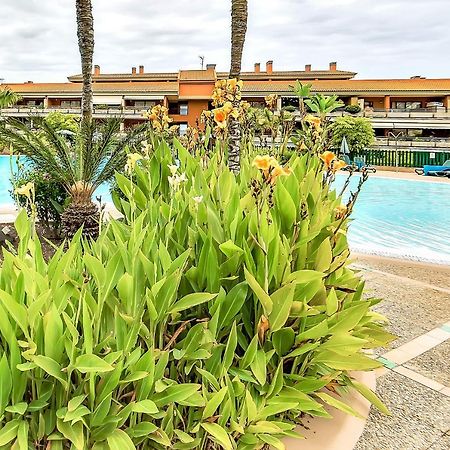 Piscinas Del Teide Apartment Puerto de la Cruz  Exterior foto